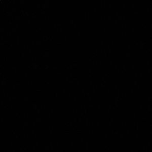 Meet your Posher, Jerry